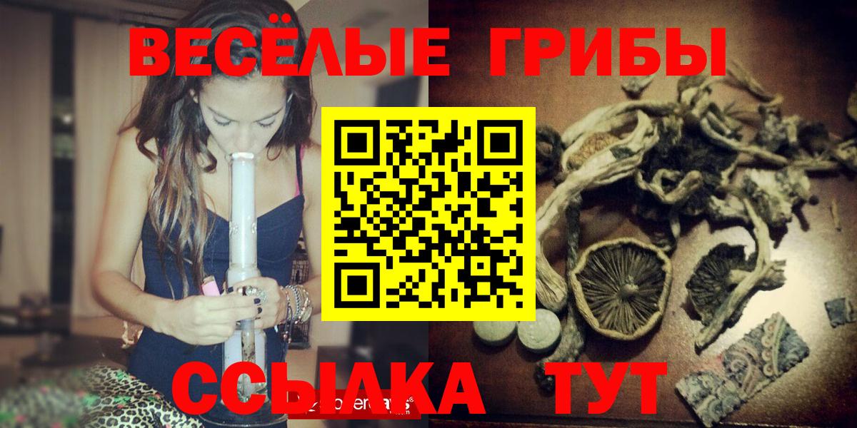 Псилоцибиновые грибы ЛСД  купить закладку  Туймазы  Вход с VPN 
